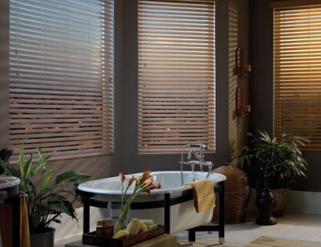 Window Blinds and Shades
